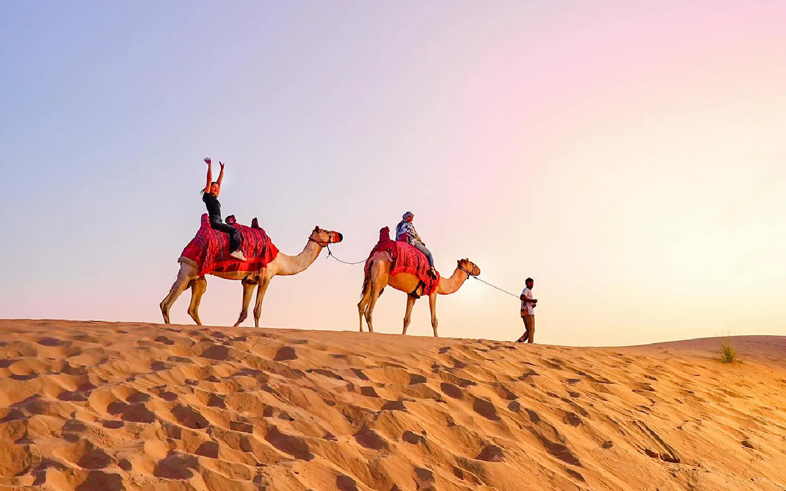 Morning Desert Safari and Sandboarding Tour