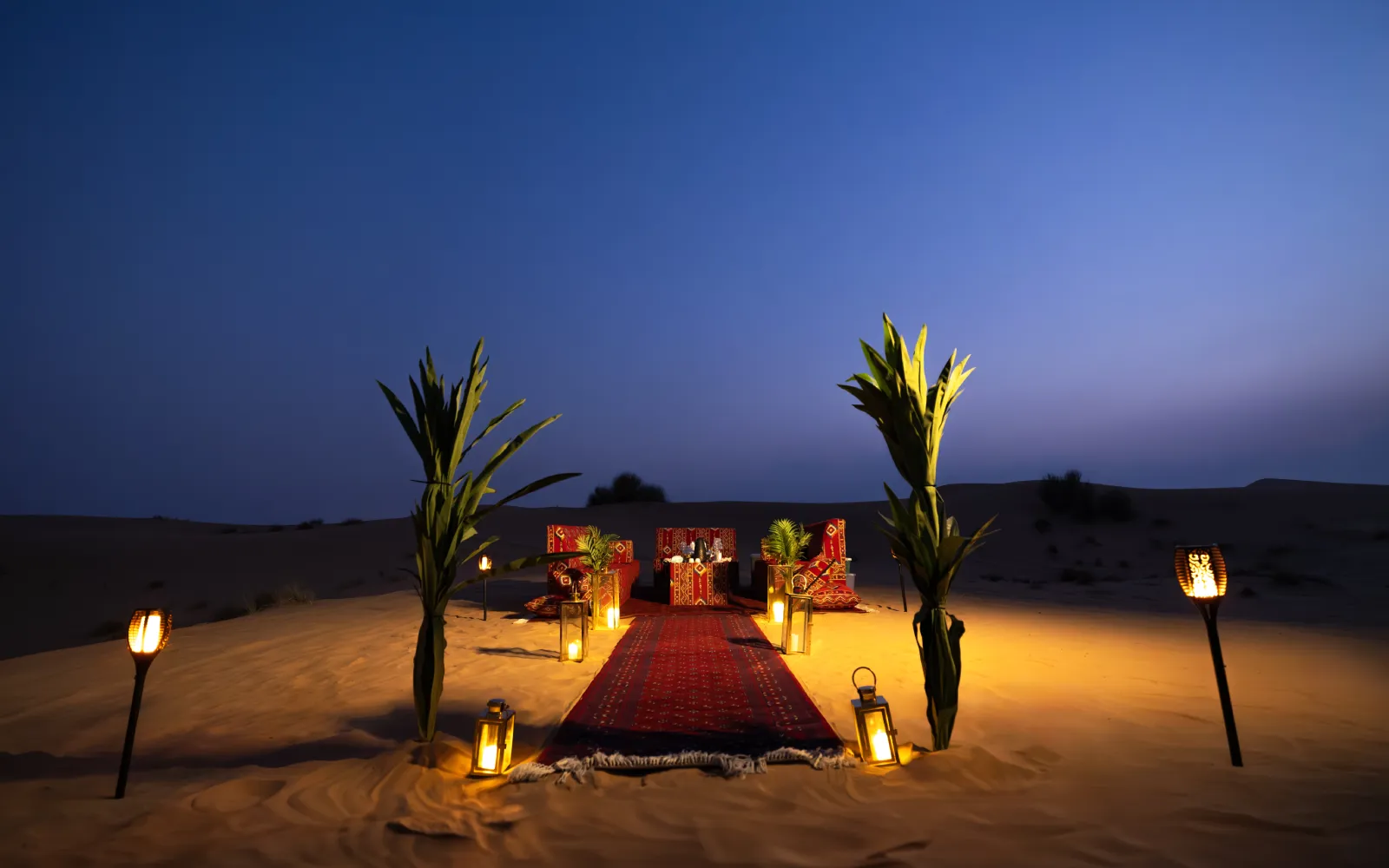 Platinum Heritage Desert Safari