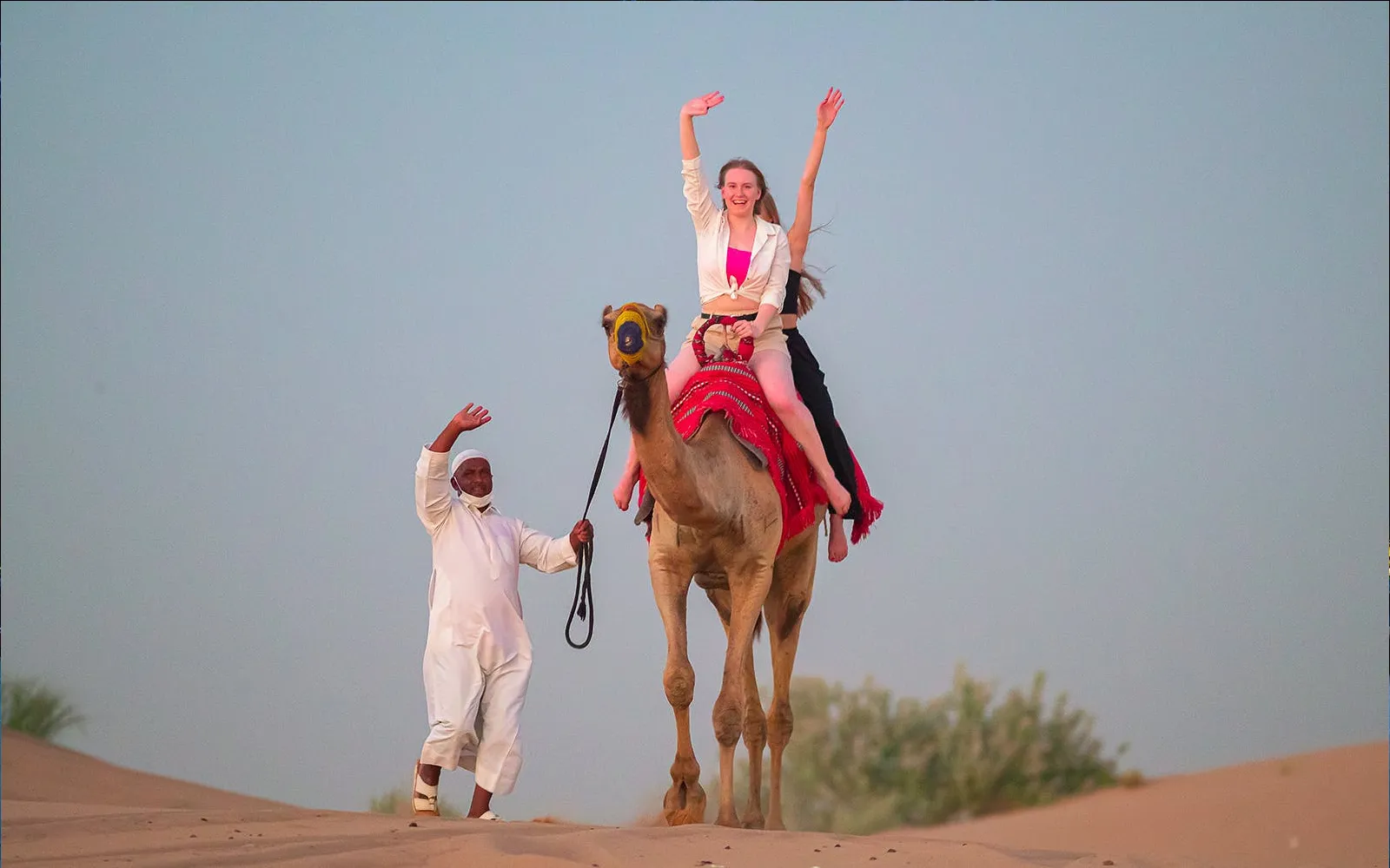 Morning Desert Safari and Sandboarding Tour