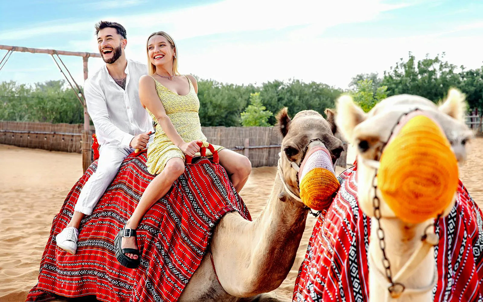 Morning Desert Safari and Sandboarding Tour