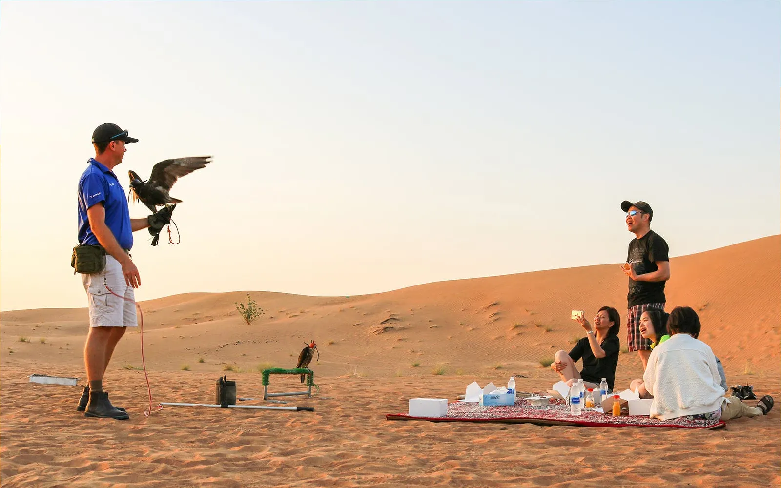 Morning Desert Safari and Sandboarding Tour
