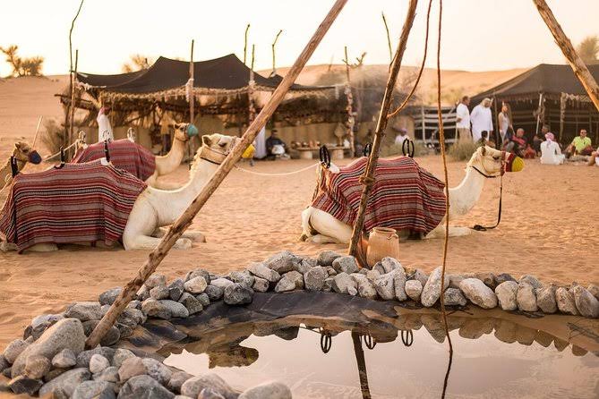 Overnight Desert Safari in Traditional Tent