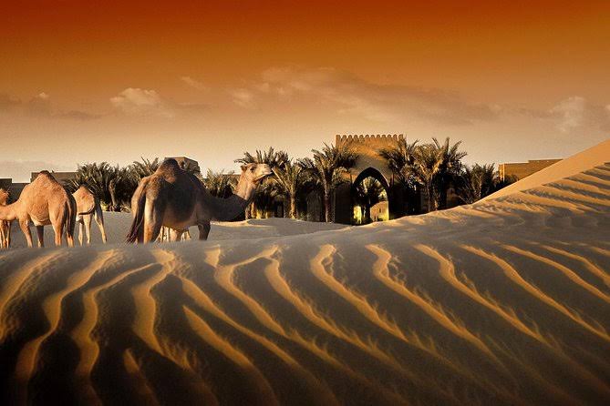Bab Al Shams Overnight Desert Safari