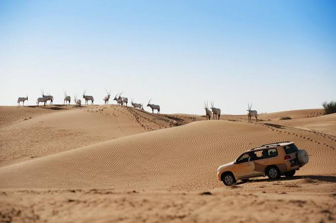 Top Dune Buggy Rides location in Dubai