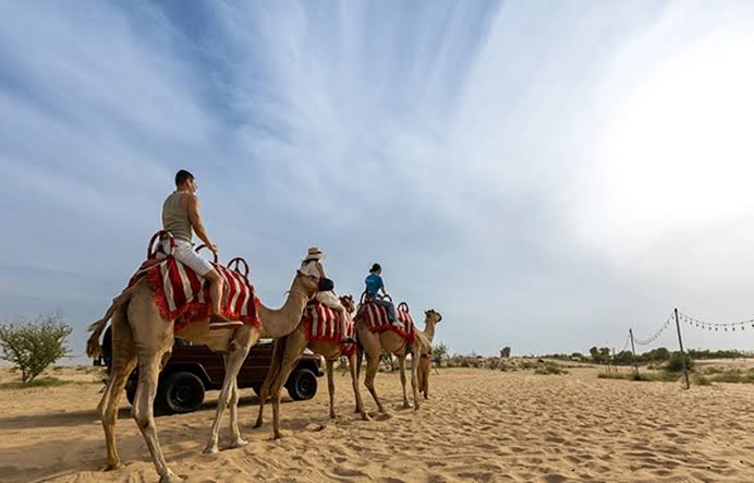 Arabian Heritage Desert Safari