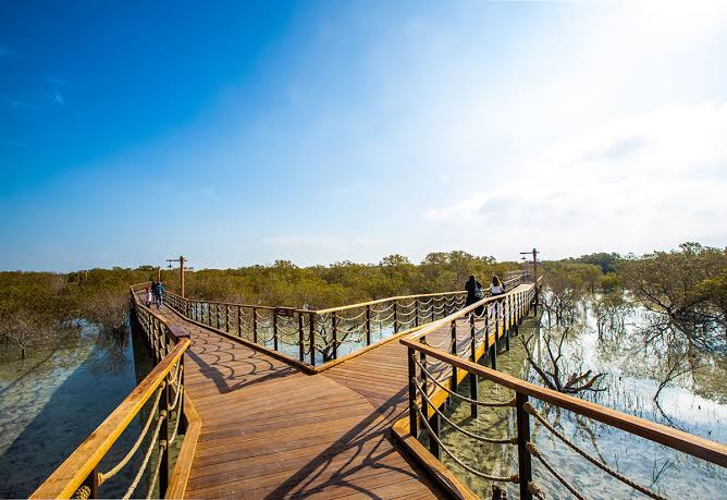 Jubail Mangrove Park