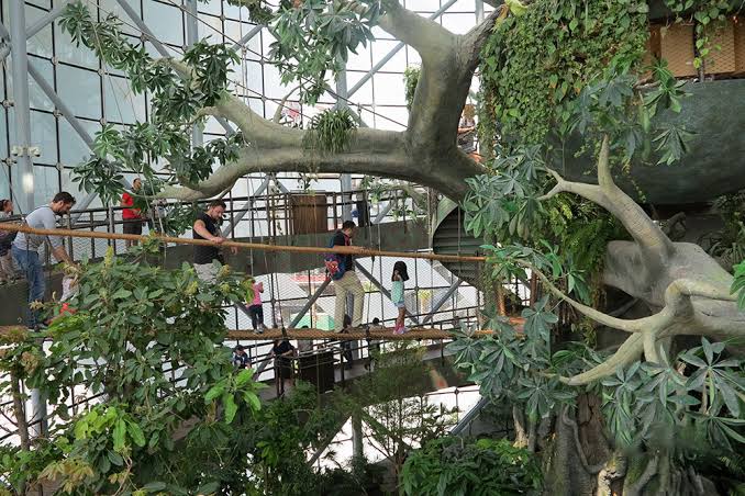 The Green Planet Dubai